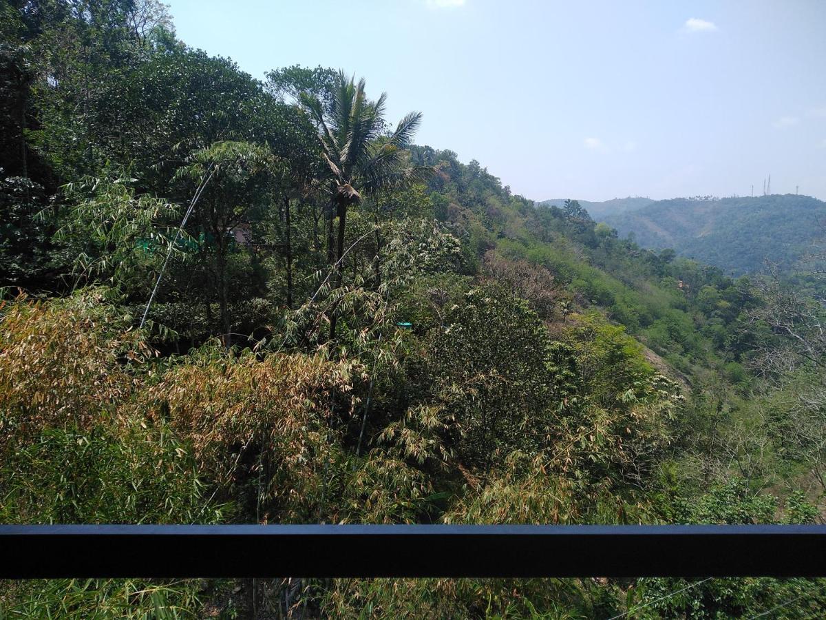 Spring And Valley View Thekkady Eksteriør billede